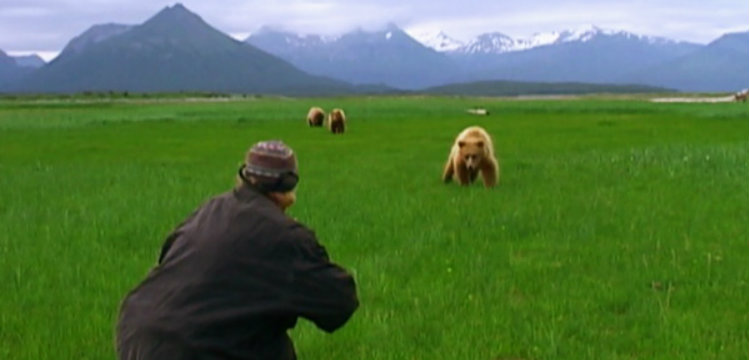 Risultati immagini per grizzly man film