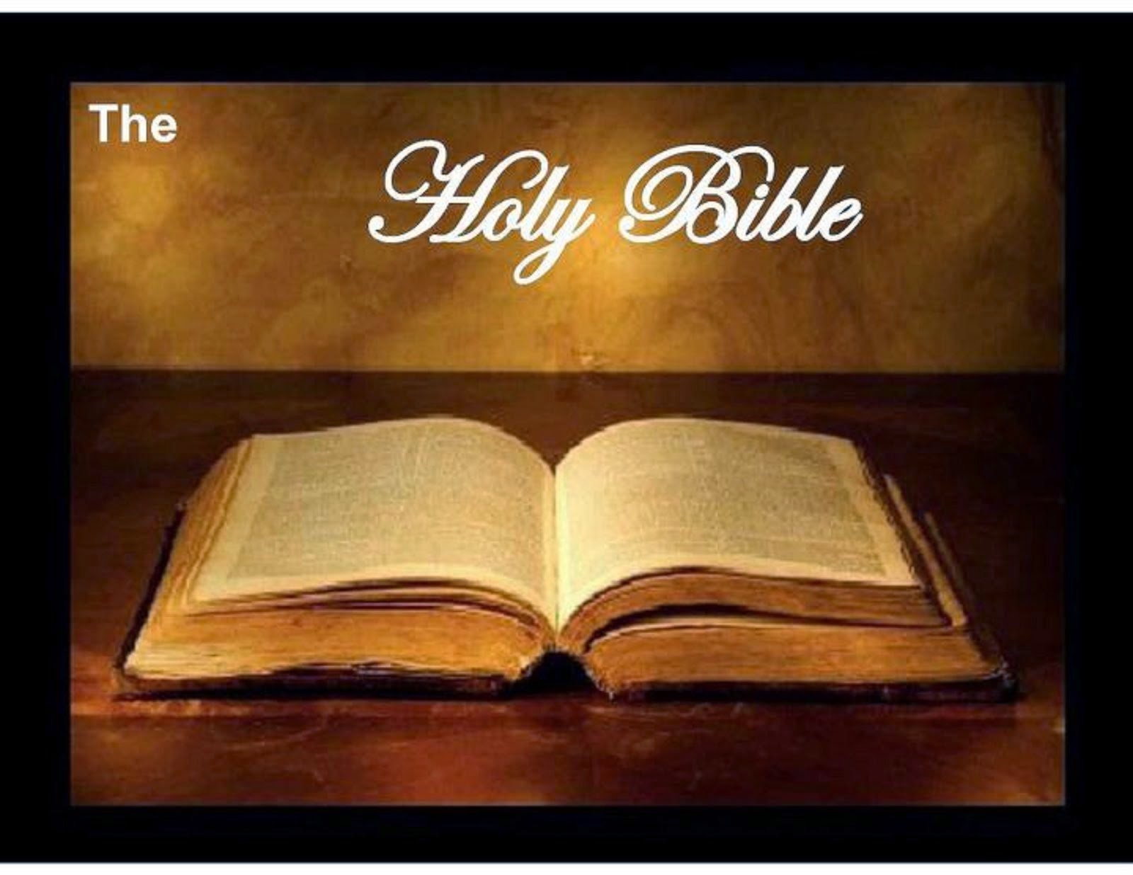 The Bible: A Book Review